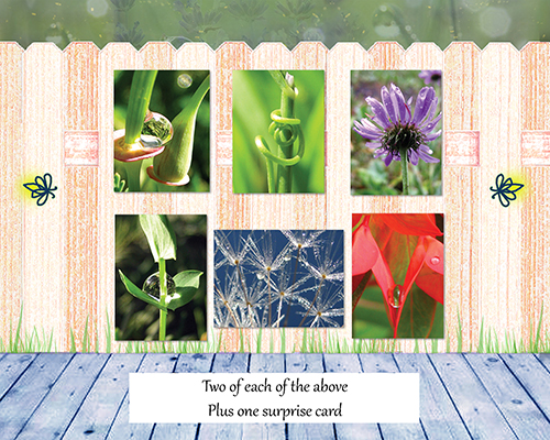 Poetry of Nature I - Greeting Card Collection - Cards inside box